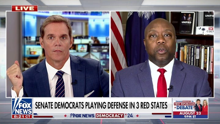 Sen. Tim Scott slams 'Bidenomics' ahead of 2024: 'We can do better'