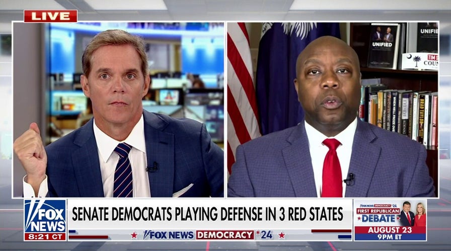 Sen. Tim Scott slams 'Bidenomics' ahead of 2024: 'We can do better'