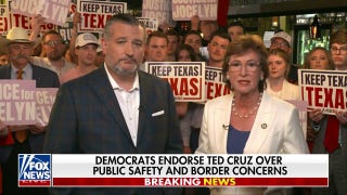 Ted Cruz: We believe we have an obligation to 'protect our families' - Fox News