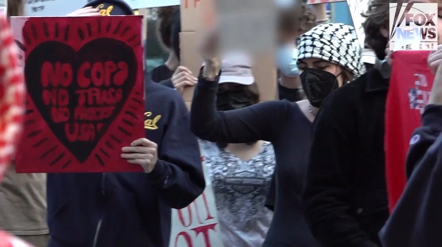 UC Berkeley students look hostile governmental clime connected field during event