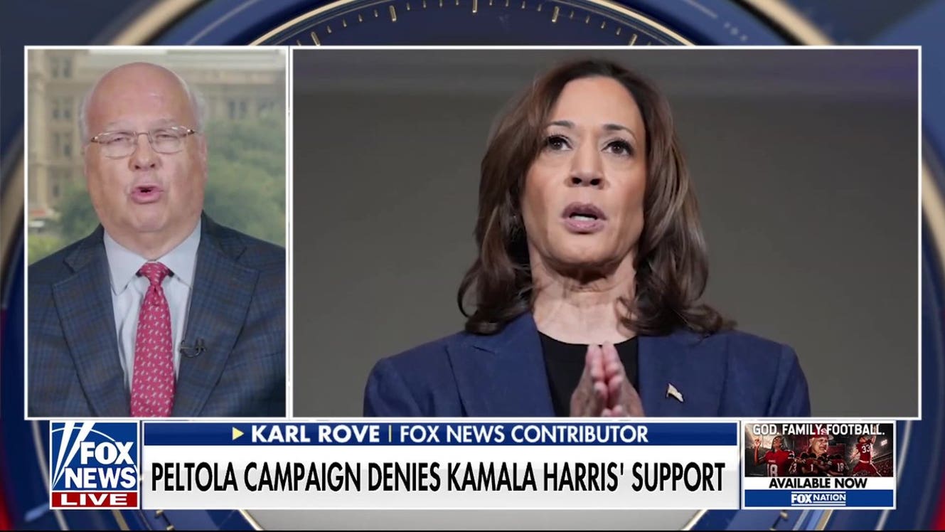 Karl Rove: This Kamala Harris rejection shows massive Democratic divide