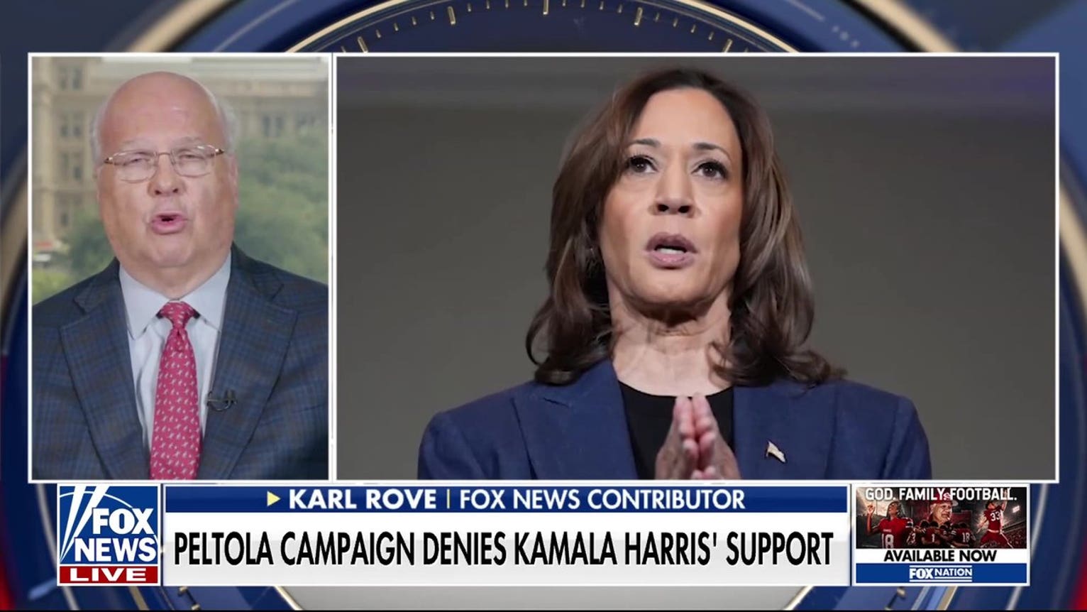 Karl Rove: This Kamala Harris rejection shows massive Democratic divide