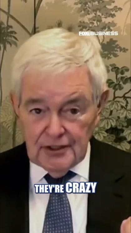 Newt Gingrich: Left would be in much better shape if they weren't the left