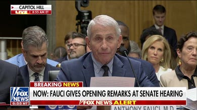 Fauci lashes out at Sen. Paul while invoking Fifth Amendment at Senate hearing