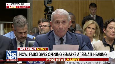 Fauci lashes out at Sen. Paul while invoking Fifth Amendment at Senate hearing