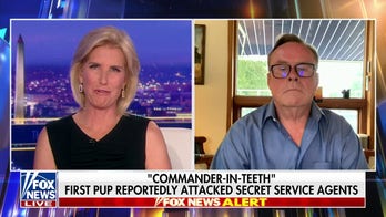 Dog trainer: Commander Biden needs to be muzzled