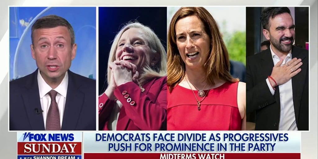 DNC chair reflects on 'historic' election victories: 'Growing our coalition'