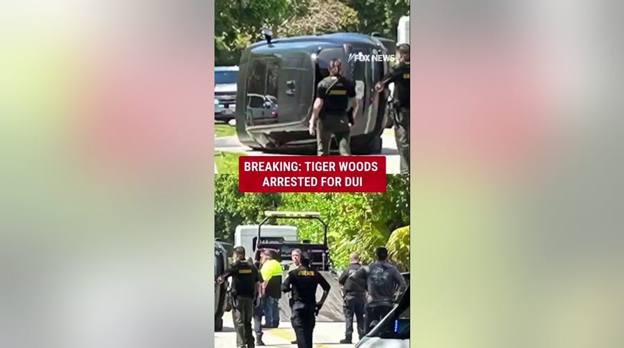 Tiger Woods arrested and charged with DUI