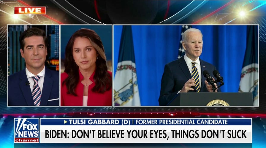 They are trying to paint these rosy pictures that are blatantly false: Tulsi Gabbard