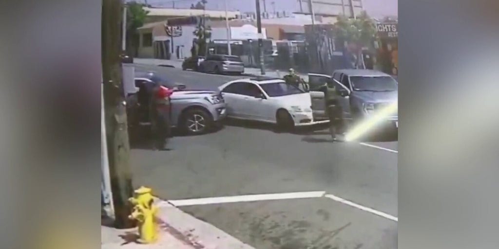 HSI arrests alleged ‘violent protester’ trying to flee in vehicle