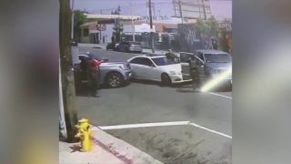 HSI arrests alleged protester trying to flee in vehicle