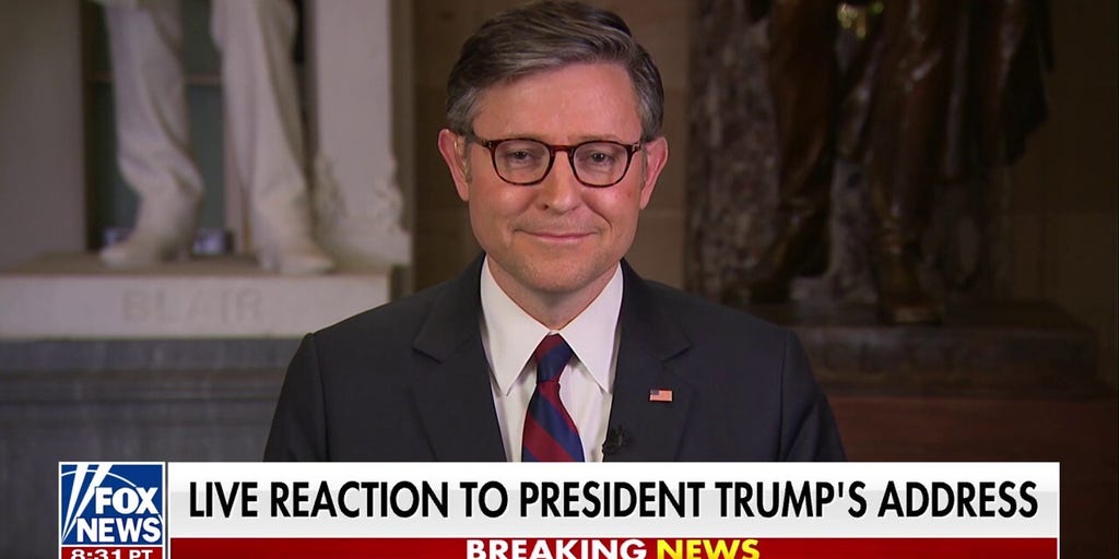 Speaker Johnson says Democrats 'brought shame on themselves and their party'