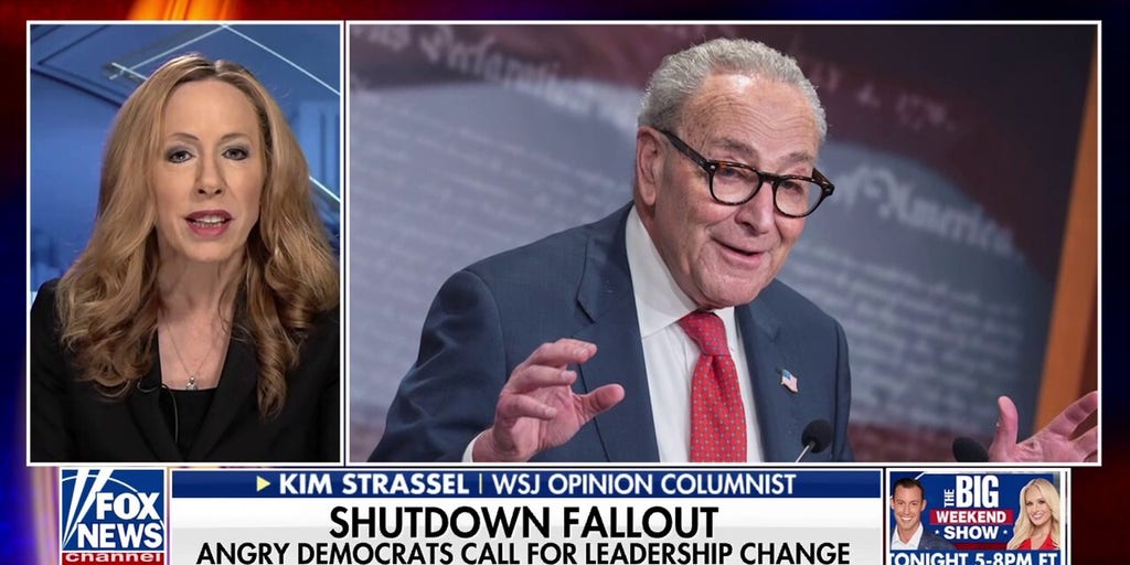 Democrats experiencing falling out in the aftermath of the government shutdown