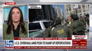 Deputy ICE director claims 'no split in leadership' despite agency shakeup - Fox News