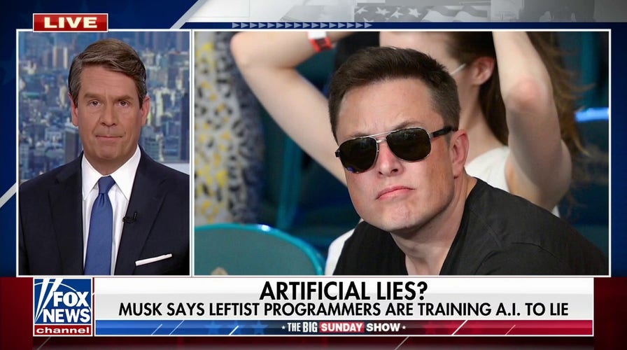 ‘It presumes to replace us’: Concerns of bias in AI grow after Elon