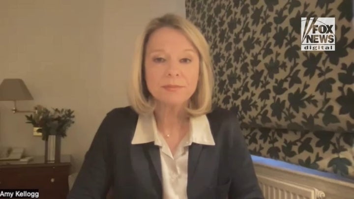 Fox's Amy Kellogg interviews Andrei Soldatov.mp4