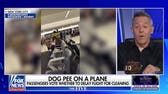 Greg Gutfeld: Democracy should not be part of air travel