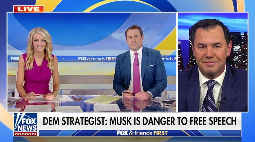 Concha slams Dem strategist who called Elon Musk a danger to free speech: This is the 'best unintentional comedy'