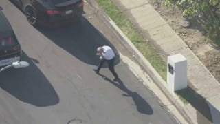 Bees swarm uniformed Los Angeles police volunteer - Fox News