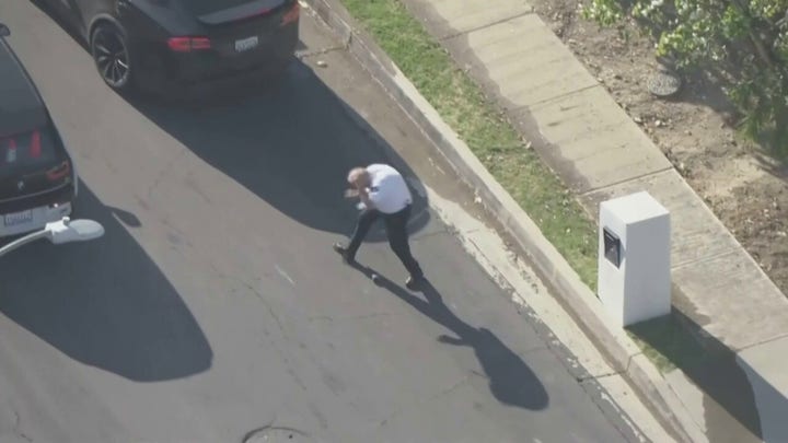Bees swarm uniformed police volunteer