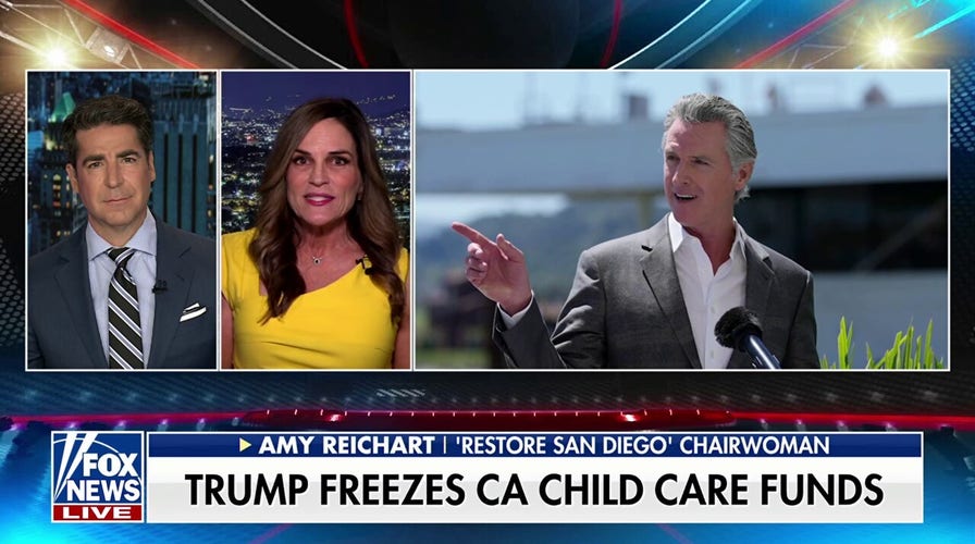 The ‘mother of all fraud’ in California is Gavin Newsom: Amy Reichart