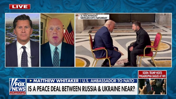NATO ambassador touts Trump as the 