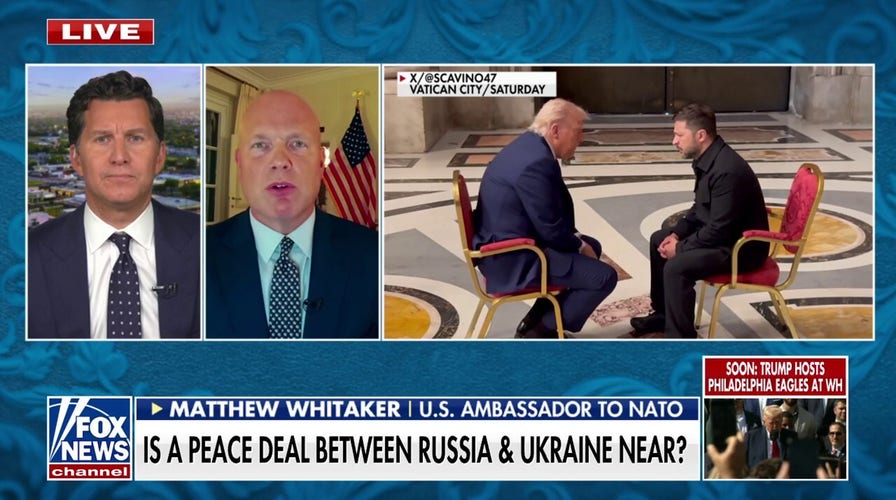 NATO ambassador touts Trump as the 'perfect person' to end the Russia-Ukraine war