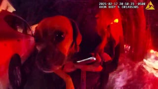 Kimberly Sullivan frantically asks to retrieve purse from burning location  - Fox News