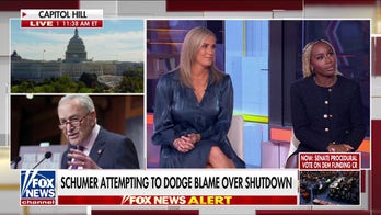Dems under fire for shutdown demands: This is absolutely a bribe!