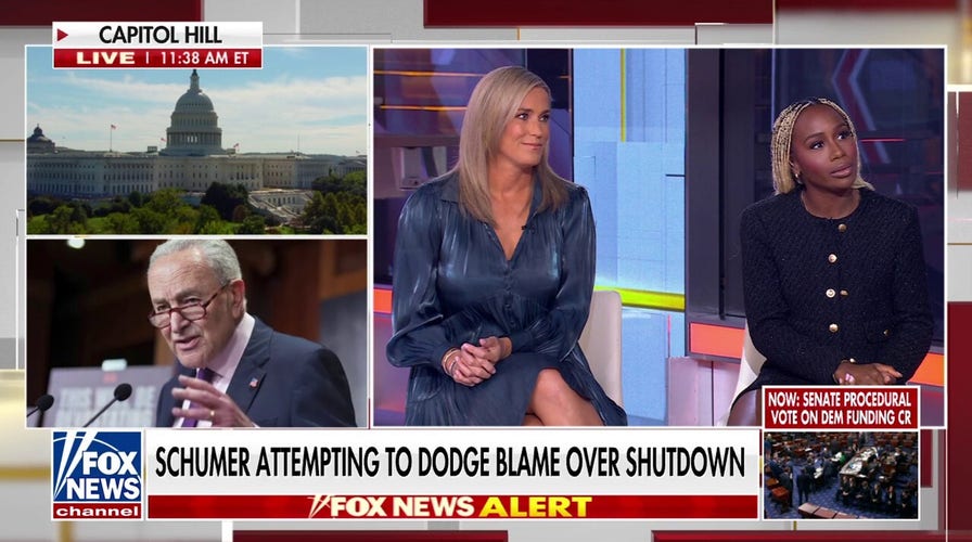 Dems under fire for shutdown demands: This is absolutely a bribe!