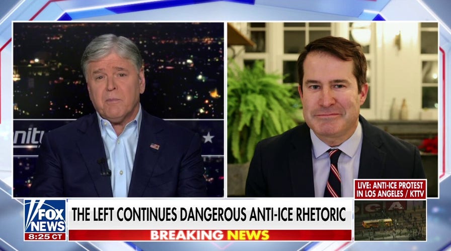 Democratic rep says ICE officers successful  masks are ‘cowards’ who deliberation  they're supra  the law