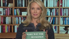 Storytime with Dana: 'Make Way for Ducklings'