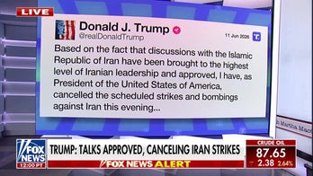 President Donald Trump cancels Iran strikes