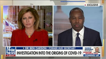 Dr. Ben Carson on divisions caused by COVID: 'Not the way America used to be'
