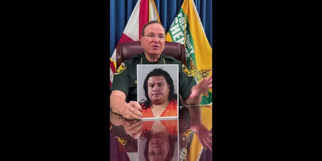 Florida sheriff upgrades charges for illegal immigrant accused of DUI hit-and-run