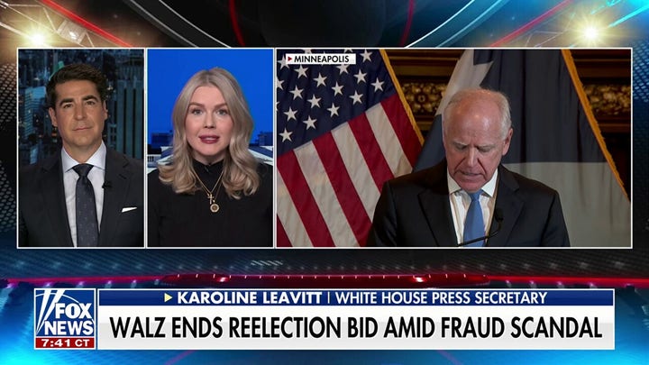 Karoline Leavitt: Minneapolis has been turned into the land of ’10,000 Somali schemes’