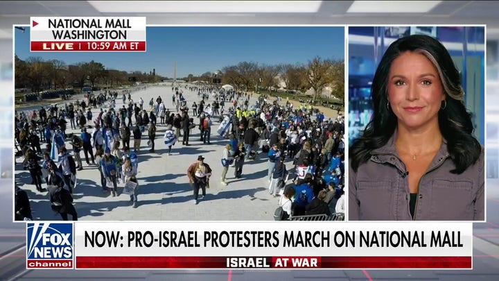 There is a ‘loud absence’ at Washington, DC Israel rally: Tusli Gabbard