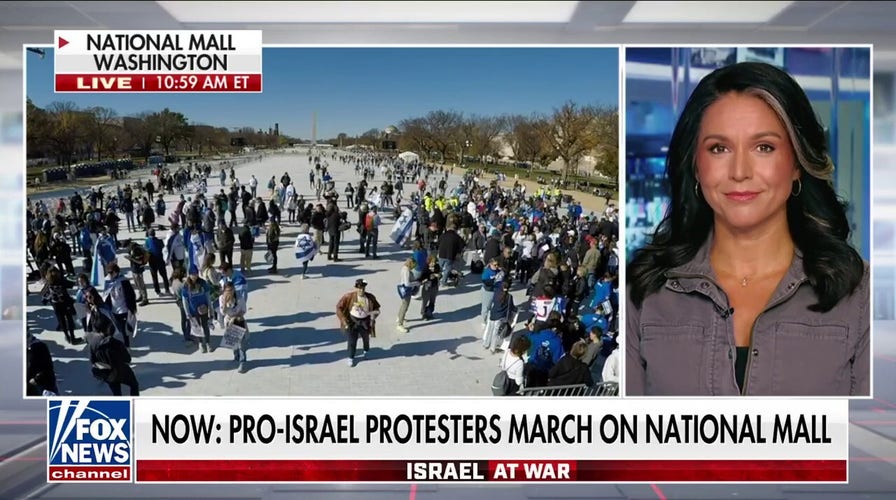 There is a ‘loud absence’ at Washington, DC Israel rally: Tusli Gabbard