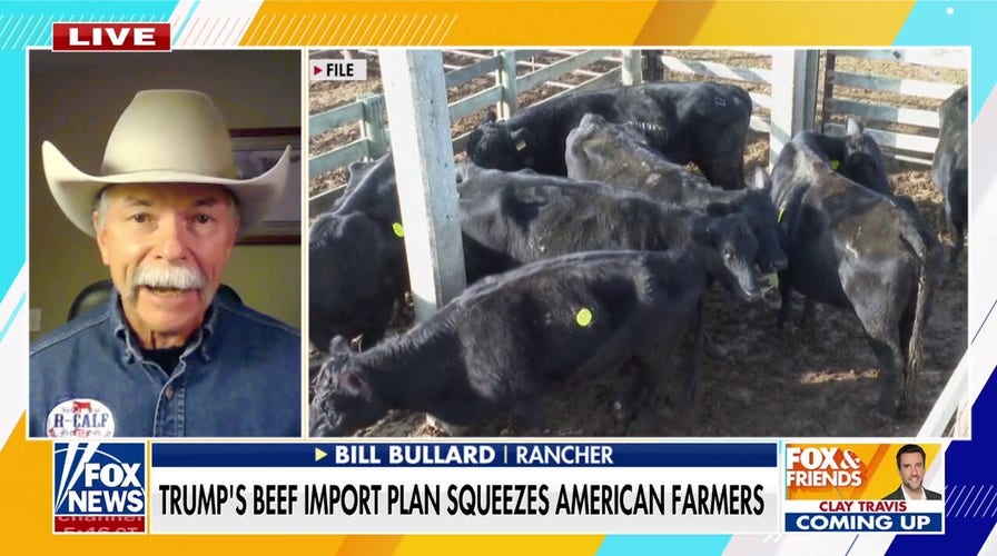 Farmers push back on foreign beef imports amid mounting losses