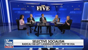 Dana Perino: This is a ‘perfect storm’ of Democratic problems