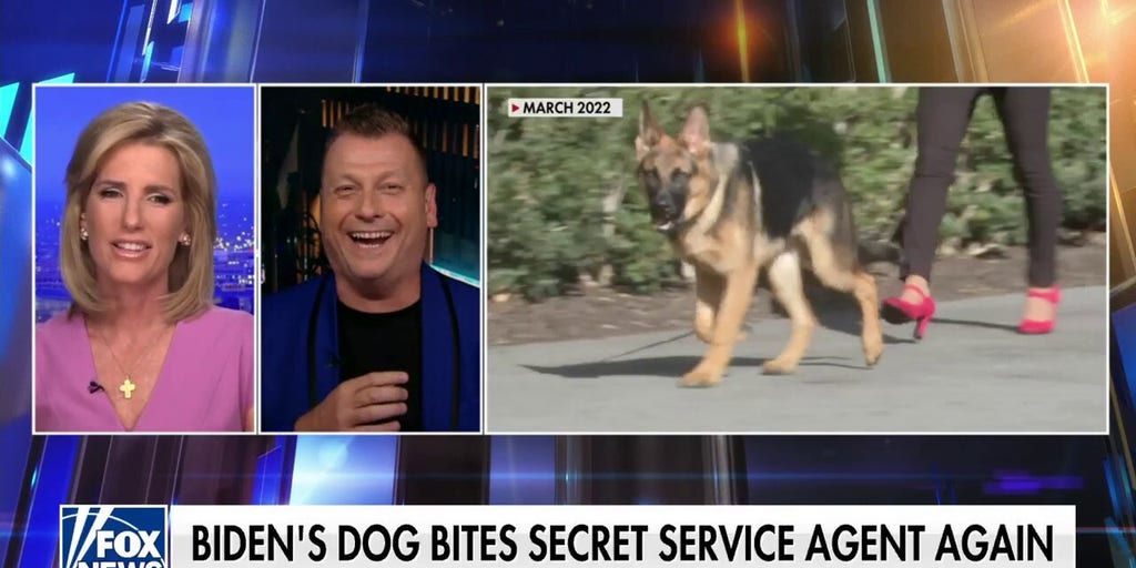 Fox news spike service hot sale dog