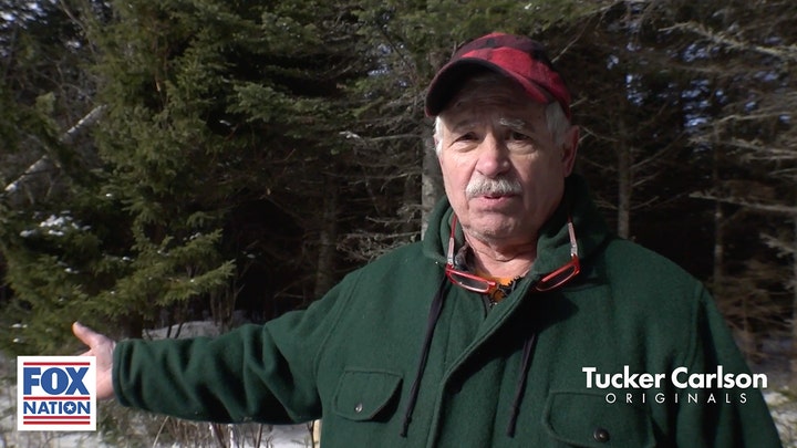 3,000 acres of forest could be destroyed in the name of clean energy