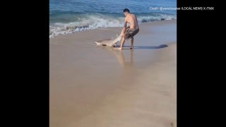 Man pulls shark out of water on Long Island beach  - Fox News