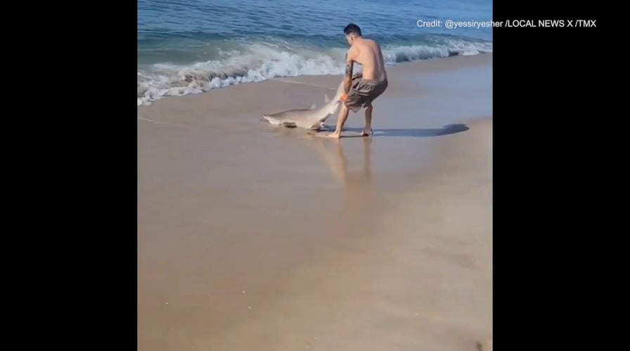 Man pulls shark out of water on Long Island beach