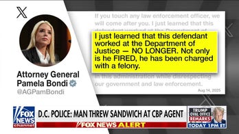 Justice Department fires employee for throwing sandwich at DC officer