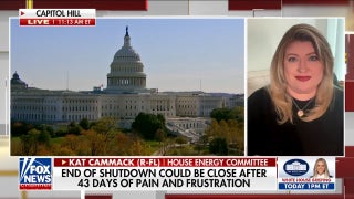 GOP lawmaker says some air traffic controllers are driving Ubers to make ends meet