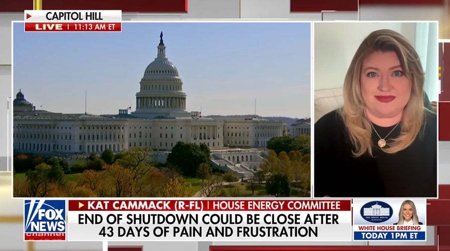 GOP lawmaker says immoderate   aerial  postulation   controllers are driving Ubers to marque   ends meet