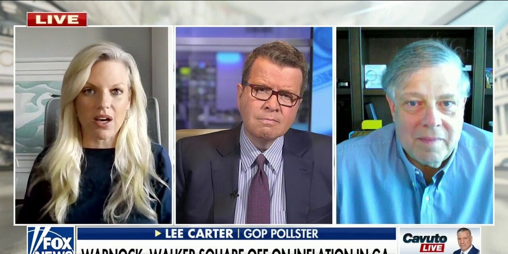 Democratic Strategist Says Midterms Are Tipping Towards Gop Gain Fox News Video 1015