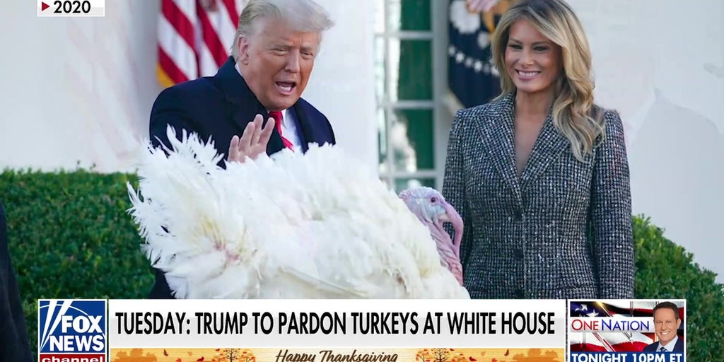 'Fox & Friends Weekend' co-hosts pardon Thanksgiving turkeys Cran and Berry
