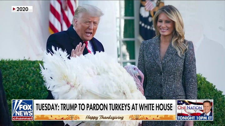 'Fox & Friends Weekend' co-hosts pardon Thanksgiving turkeys Cran and Berry